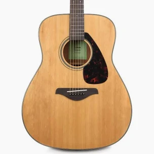Acoustic Guitar