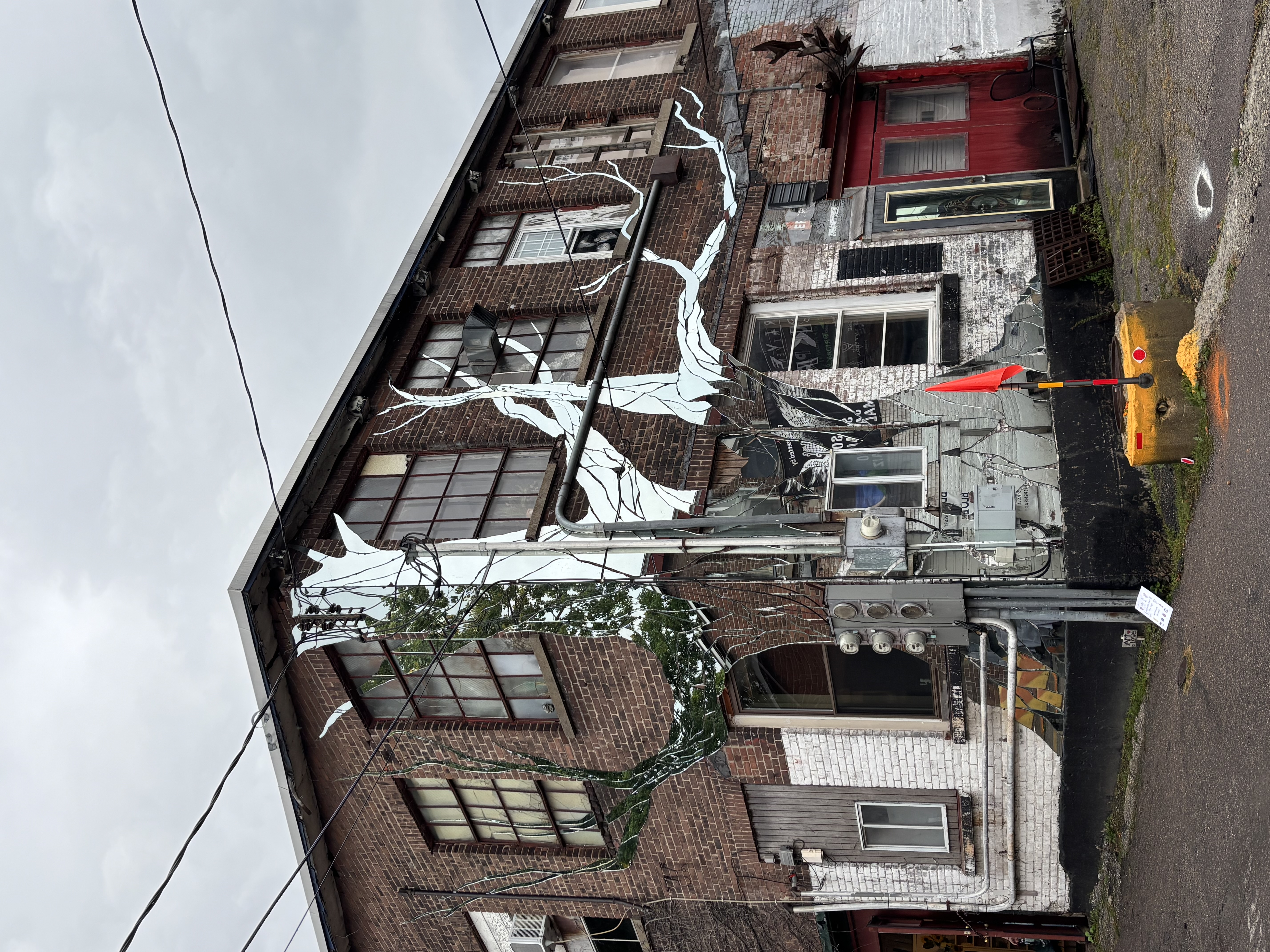 A mirror shard tree plastered on the side of a building in Burlington.